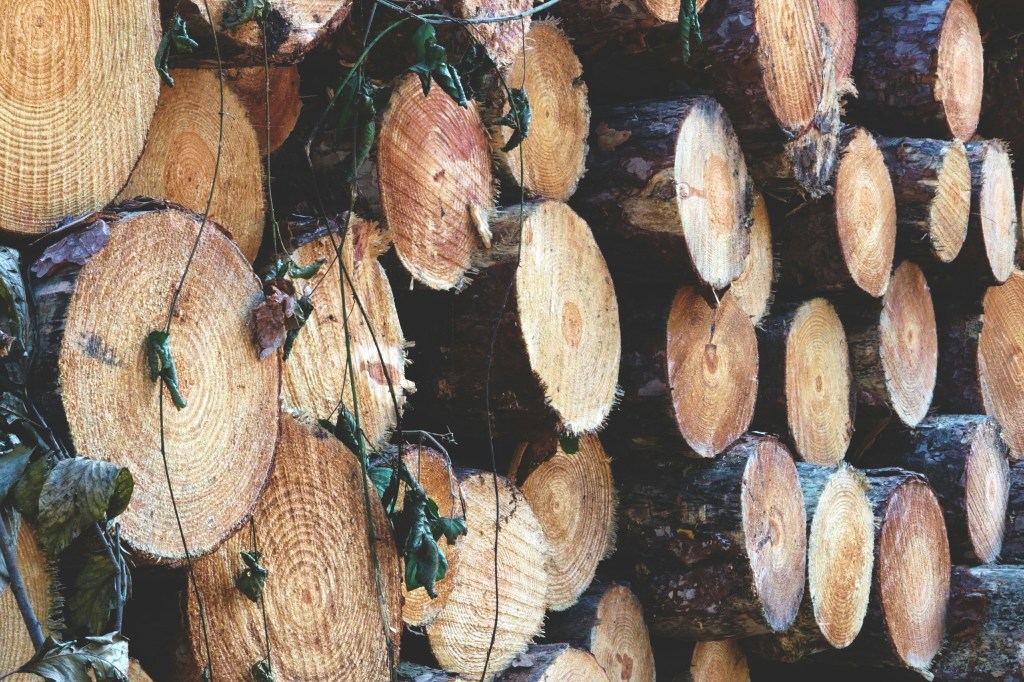 Puunkaadot Rovaniemi