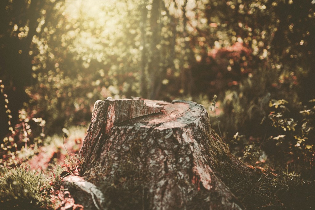 Kantojen jyrsinnät Lappi